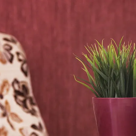 Отель Kamchia Park