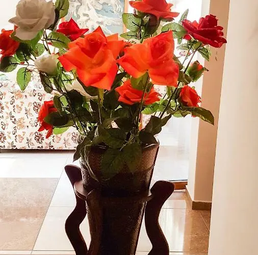 Kamchia Park 3* Złote Piaski